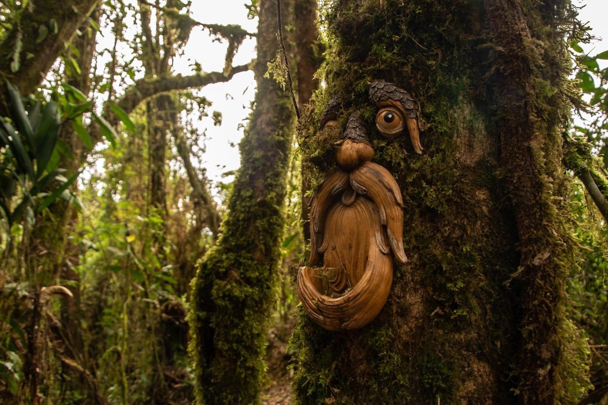 Owl'S Watch At Rio Blanco Villa Manizales Eksteriør bilde